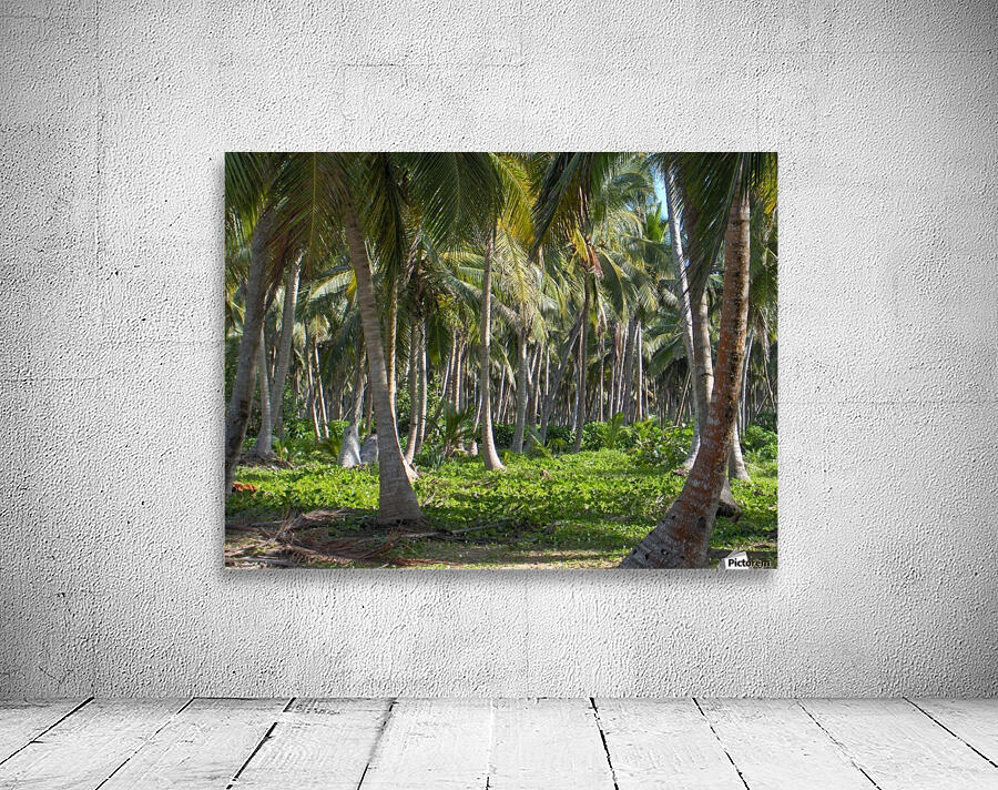 Beach Wall Preview