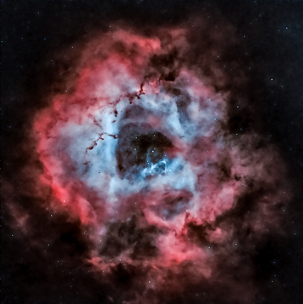 Caldwell 49 - The Rosette Nebula Digital Download