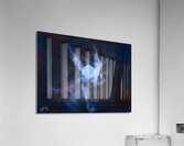 Thors Helmet NGC 2359 Acrylic Print