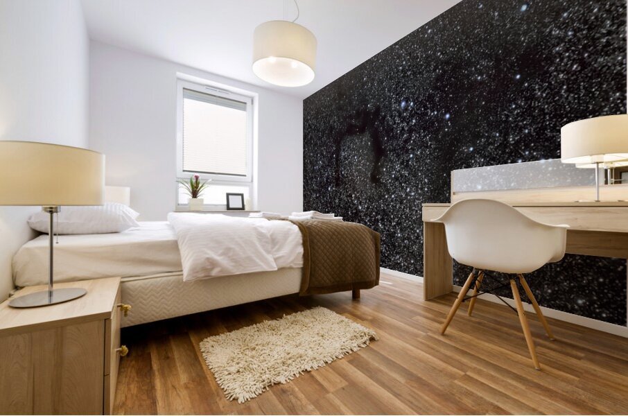 LDN 700 Dark Nebula Mural print