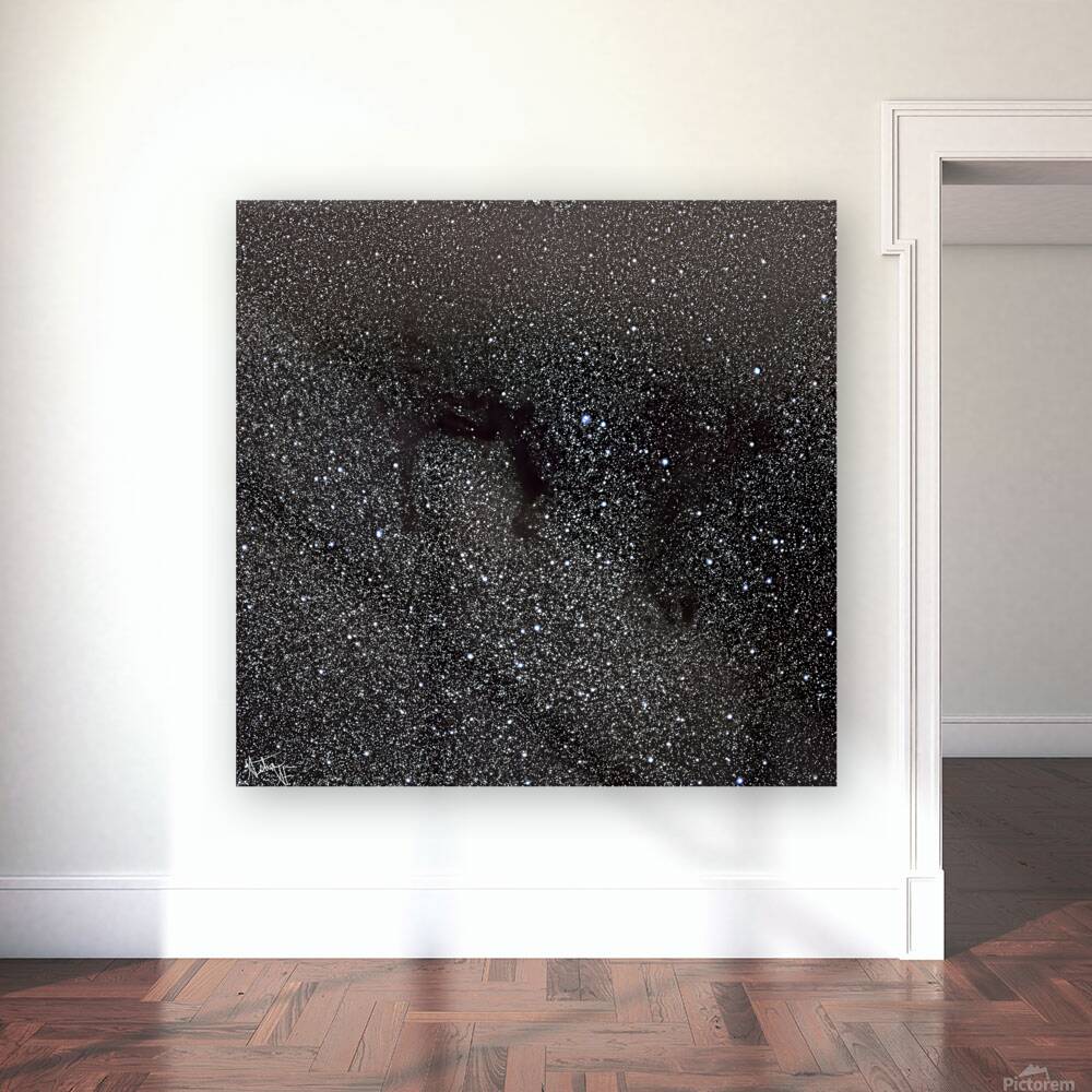 LDN 700 Dark Nebula Reproduction