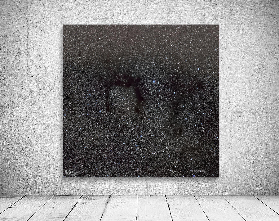 LDN 700 Dark Nebula Wall Preview