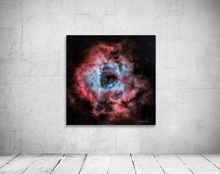 Caldwell 49 - The Rosette Nebula Wall Preview