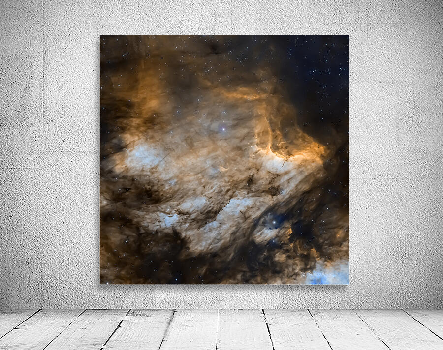 IC 5070 - The Pelican Nebula Wall Preview