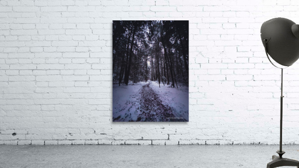 Into the Woods Wall Preview