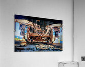Coupled up  Acrylic Print