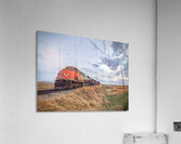 CN 2882 Acrylic Print