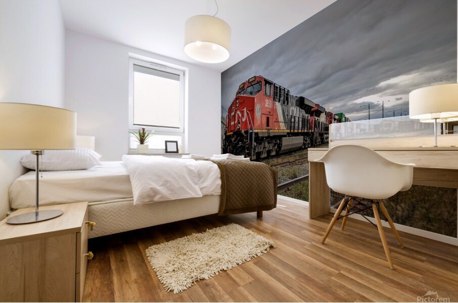 CN 3850 Mural print