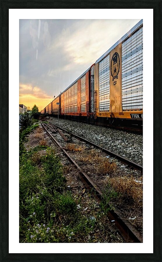 Fine Art print
