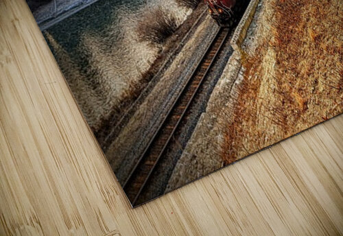 Passing By  Christophotography    puzzle