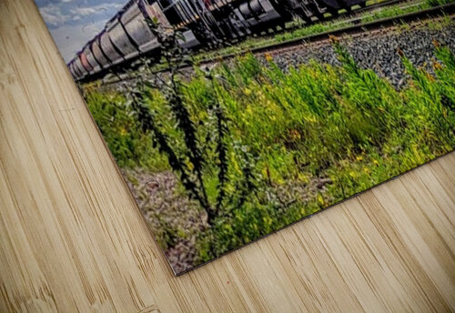The Red Line   Christophotography    puzzle