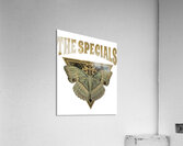 The Specials 19 Acrylic Print