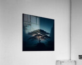 Ancient Styles 8 Acrylic Print