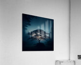 Ancient Styles 11 Acrylic Print