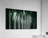 Infinite Bamboo 5 Acrylic Print