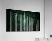 Infinite Bamboo 4 Acrylic Print