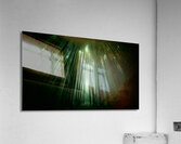 Infinite Bamboo 3 Acrylic Print