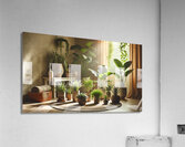 Yoga Collection 3 Acrylic Print