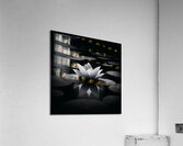 a27 Acrylic Print
