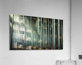   Bamboo Calm Acrylic Print