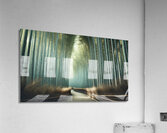   Bamboo Symphony Acrylic Print