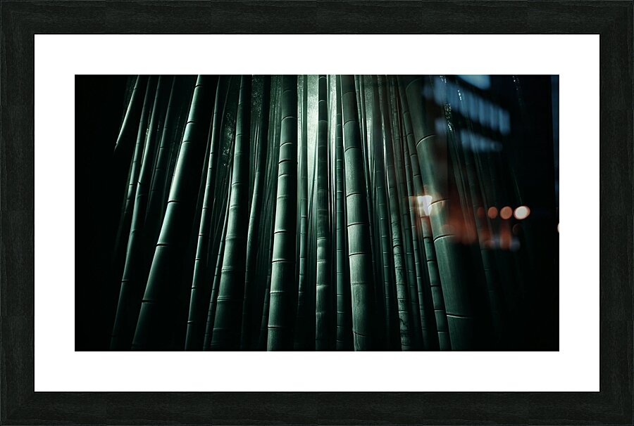 Infinite Bamboo 8 Picture Frame print