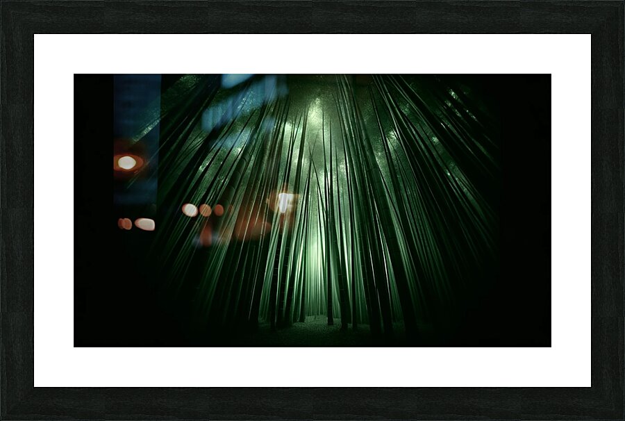 Infinite Bamboo 3 Picture Frame print