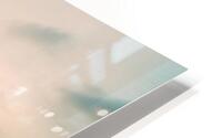B 6 HD Metal print