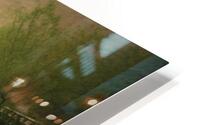 d7 HD Metal print