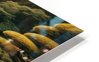d5 HD Metal print