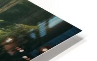 d2 HD Metal print