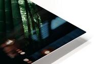 Infinite Bamboo 1 HD Metal print