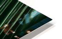 Infinite Bamboo 7 HD Metal print