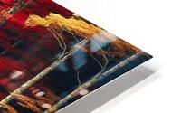   Autumn Reflections HD Metal print
