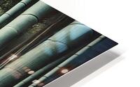   Bamboo Calm HD Metal print