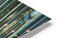  Bamboo Symphony HD Metal print