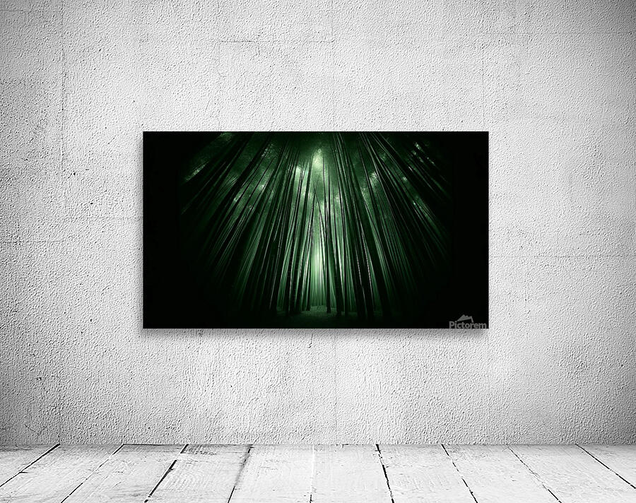 Infinite Bamboo 3 Wall Preview