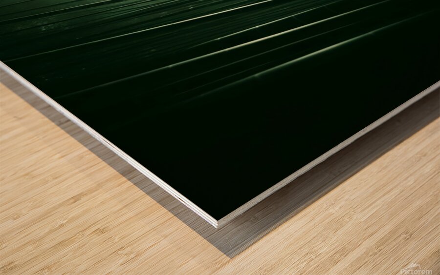 Infinite Bamboo 6 Wood print