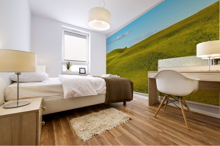 img 1905 2 Mural print