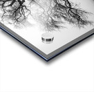 Fogged In Acrylic print