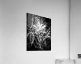 Unknown Flower Acrylic Print