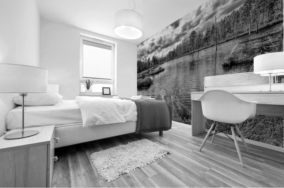 bw pinelands Mural print