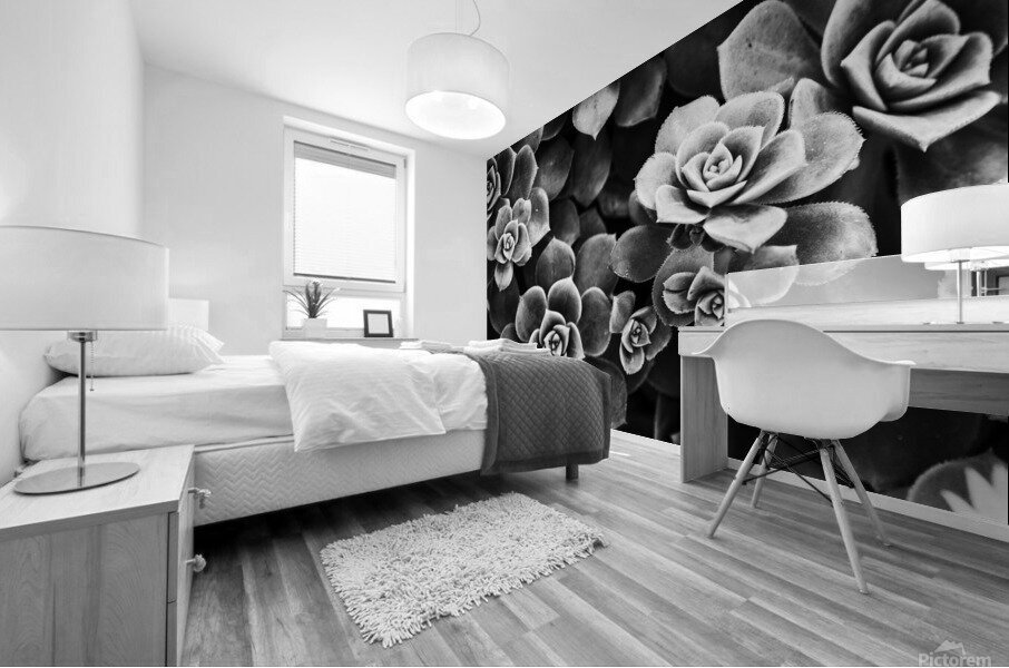 Hen and Chicks Mural print