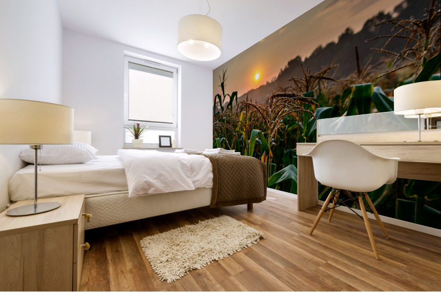 corn cloud  5002 Mural print