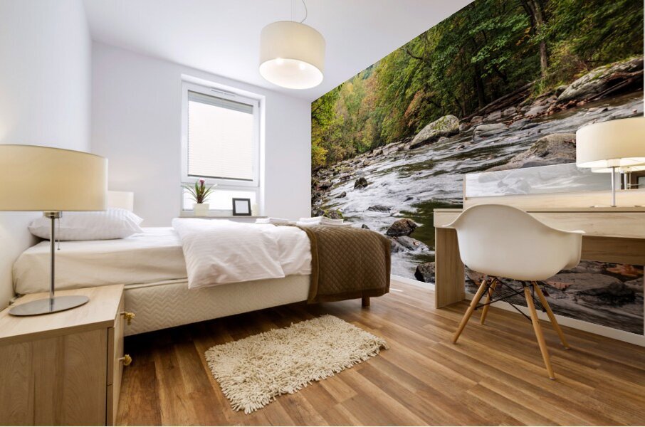 fall color 150055 Mural print