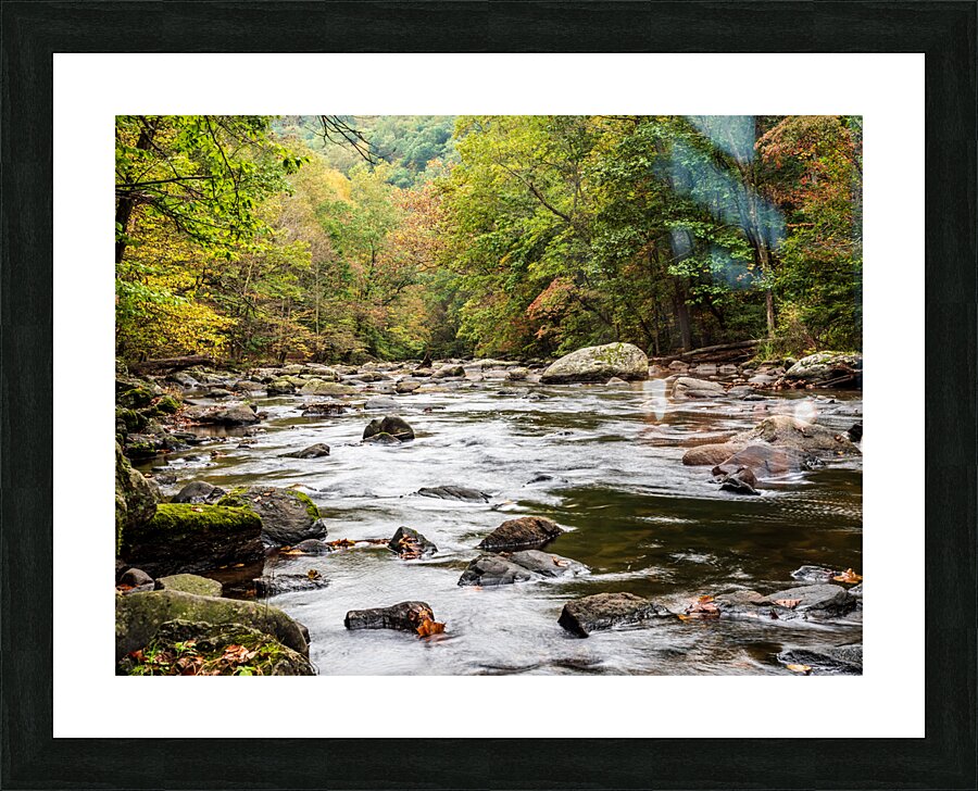 fall color 150055 Picture Frame print