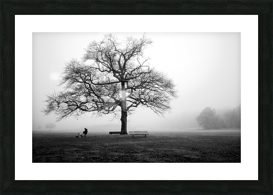 Fogged In Picture Frame print