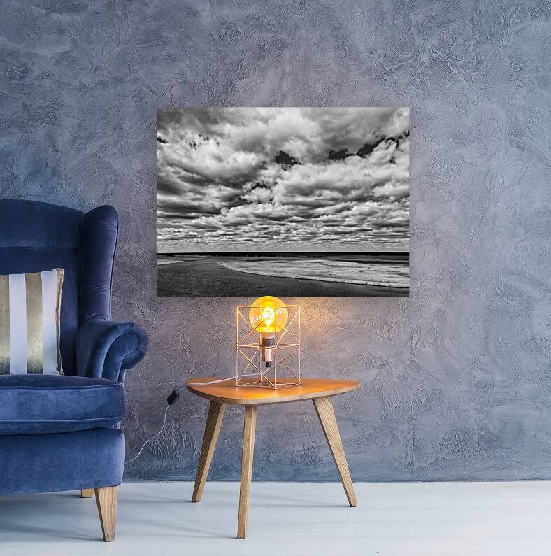 cape may  beach Reproduction