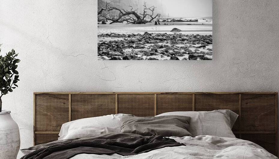 Drift wood beach photograph by Louis Dallara