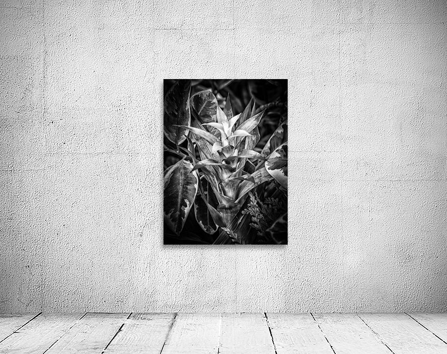 Unknown Flower Wall Preview
